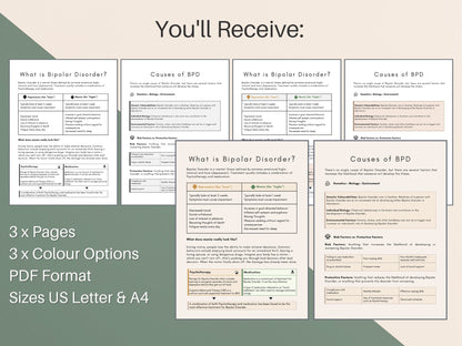 Therapist Guide to Bipolar Disorder